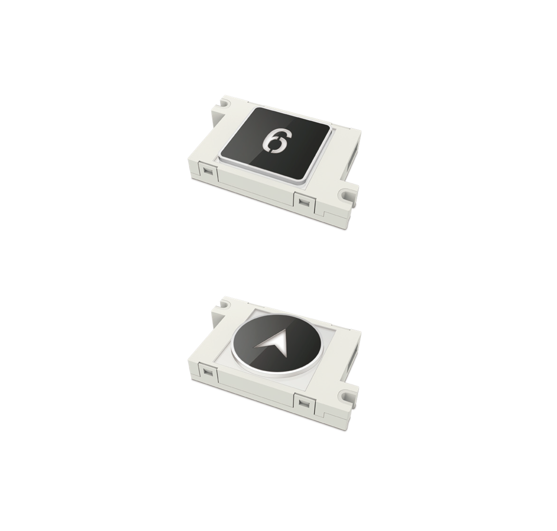 HGX-BNT-002